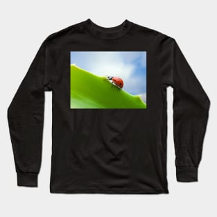 Wall Art - Ladybird, Ladybug Ascent - Photo print, canvas, artboard print Canvas Print Long Sleeve T-Shirt